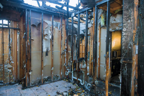 Professional Fire Damage Removal technician working in Gotha, FL